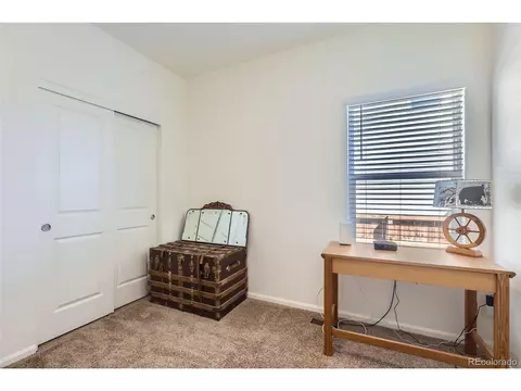 991 Ouzel Falls Rd, Windsor, CO 80550 photo 18