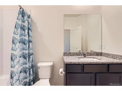 991 Ouzel Falls Rd, Windsor, CO 80550 photo 20