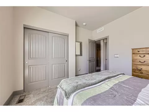 6863 E 132nd Pl, Thornton, CO 80602 photo 19