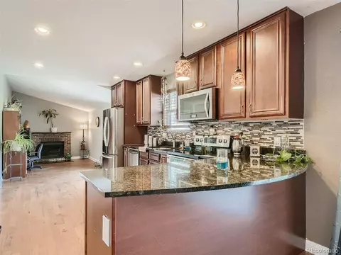 3545 E 97th Pl, Thornton, CO 80229 photo 12