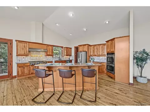 9646 Wallow Ct, Conifer, CO 80433 photo 10