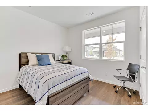 6060 Holstein Dr, Windsor, CO 80528 photo 22
