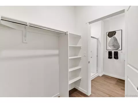 6060 Holstein Dr, Windsor, CO 80528 photo 21