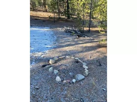 67 Lodgepole Dr, Leadville, CO 80461