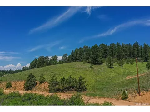 781 Arapahoe Creek Dr, Florissant, CO 80816