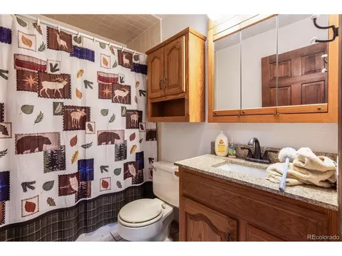 7572 Surrey Dr, Morrison, CO 80465 photo 21