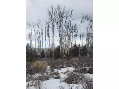 239 Mill Run, Hooper, CO 81136 photo 4