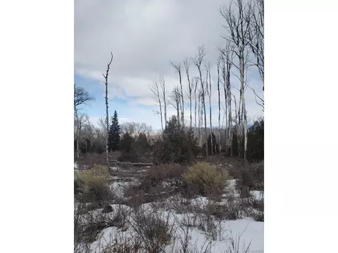 239 Mill Run, Hooper, CO 81136 photo 3