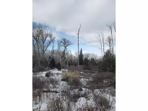 239 Mill Run, Hooper, CO 81136 photo 2