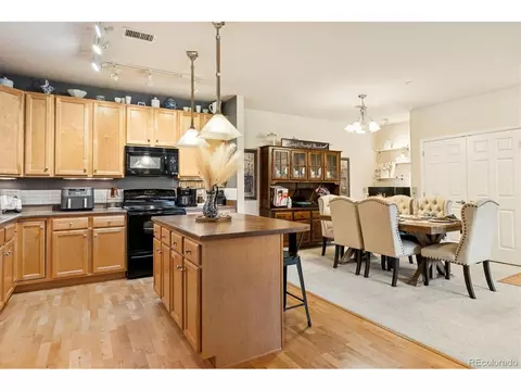 9370 Las Ramblas Ct #R, Parker, CO 80134