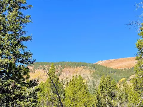 Mosquito Cir, Alma, CO 80420