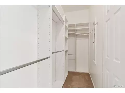 3626 Pointer Way, Highlands Ranch, CO 80126 photo 13