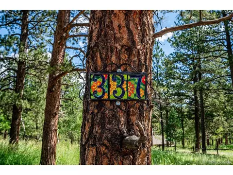 337 Old Corral Rd, Bailey, CO 80421