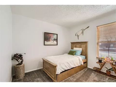6410 Wright St, Arvada, CO 80004 photo 13