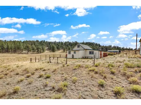 29474 County Road 77, Lake George, CO 80827