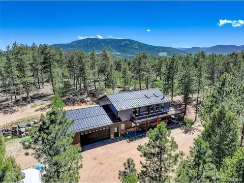 858 Forest Dr, Bailey, CO 80421