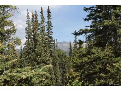 2190 Kootchie Kootchie, Alma, CO 80420