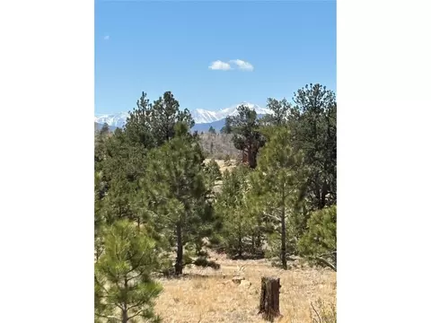 Hiawatha Cir, Hartsel, CO 80449