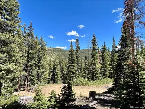 485 Peterson Dr, Alma, CO 80420