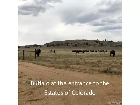Senaca Rd, Hartsel, CO 80447 photo 13