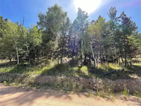 2072 Burland Dr, Bailey, CO 80421