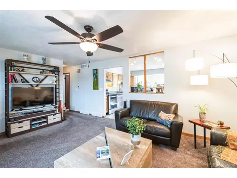 3870 E 114th Dr, Thornton, CO 80233 photo 10