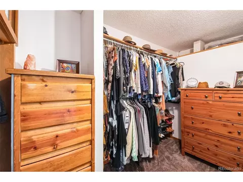 3870 E 114th Dr, Thornton, CO 80233 photo 21