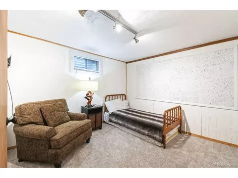 3870 E 114th Dr, Thornton, CO 80233 photo 23