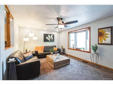 3870 E 114th Dr, Thornton, CO 80233 photo 9