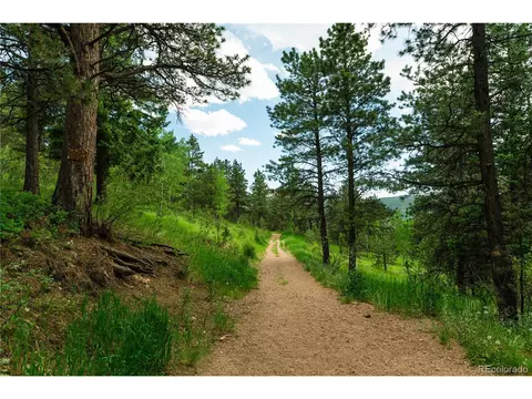 tbd Kings Crown Rd, Woodland Park, CO 80863