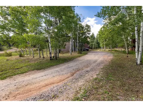 Exterior - 65 Silver Springs Rd, Bailey, CO 80421 photo 5 of 8