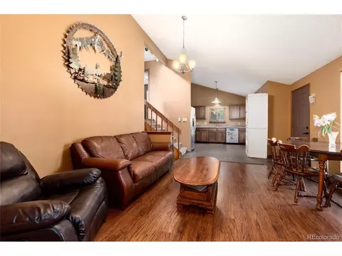 Living - 65 Silver Springs Rd, Bailey, CO 80421 photo 2 of 8