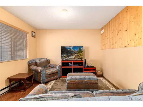 Living - 65 Silver Springs Rd, Bailey, CO 80421 photo 3 of 8