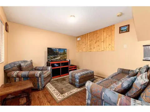 Living - 65 Silver Springs Rd, Bailey, CO 80421 photo 4 of 8