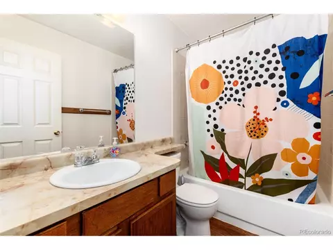 Bath - 65 Silver Springs Rd, Bailey, CO 80421 photo 2 of 3