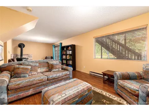 Living - 65 Silver Springs Rd, Bailey, CO 80421 photo 8 of 8
