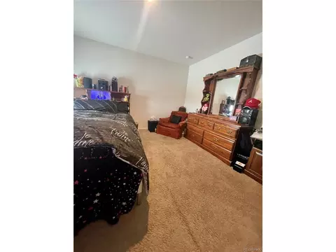 47398 Lilac Ave, Bennett, CO 80102 photo 15
