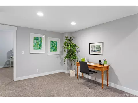 8788 E 54th Pl, Denver, CO 80238 photo 27