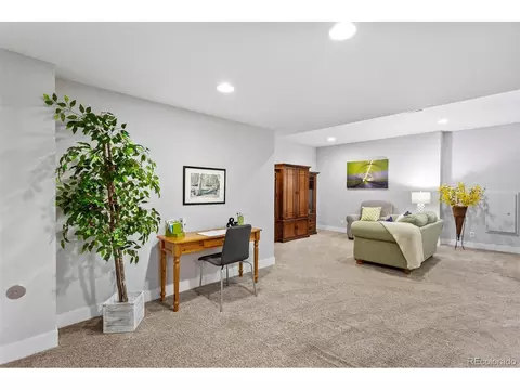 8788 E 54th Pl, Denver, CO 80238 photo 28