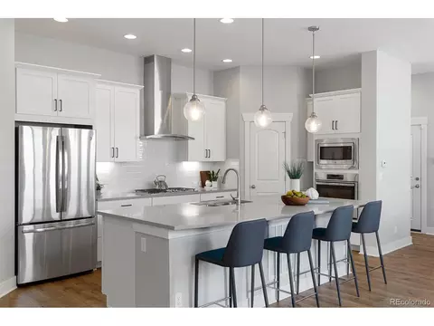 8788 E 54th Pl, Denver, CO 80238 photo 8