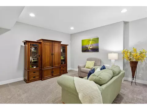 8788 E 54th Pl, Denver, CO 80238 photo 26