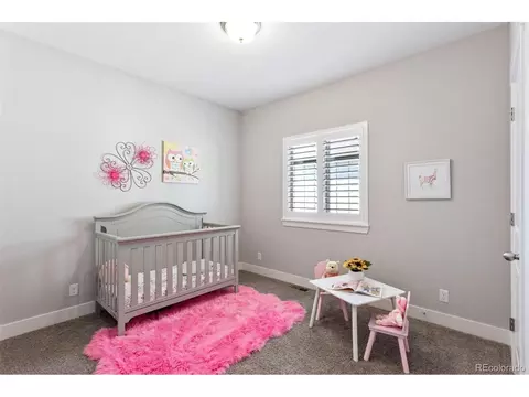 8788 E 54th Pl, Denver, CO 80238 photo 22