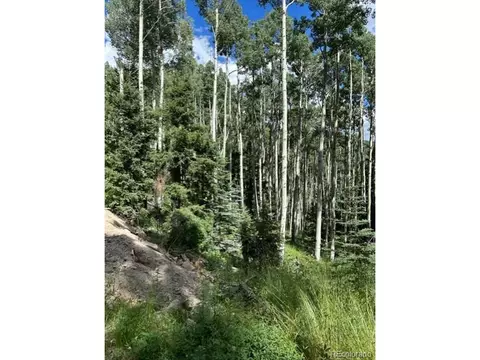 Tbd, Jasper, CO 81132 photo 2