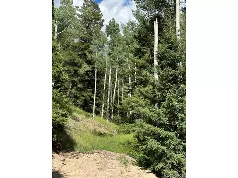 Tbd, Jasper, CO 81132 photo 4