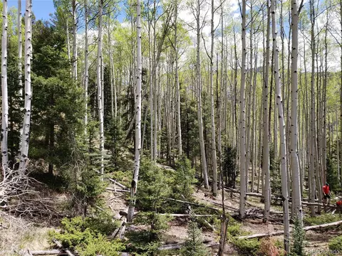 Tbd, Jasper, CO 81132 photo 9