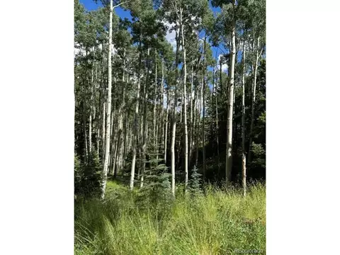 Tbd, Jasper, CO 81132 photo 3
