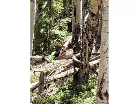 Tbd, Jasper, CO 81132 photo 7