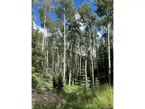Tbd, Jasper, CO 81132 photo 5