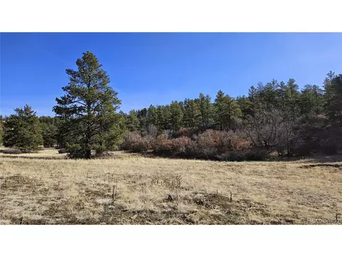 338 Rancho La Garita, Weston, CO 81091