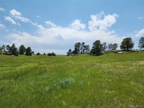 County Road 94, Elbert, CO 80106 photo 19